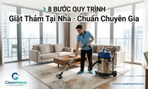 Ảnh đại diện tổng quan 8 bước trong quy trình giặt thảm tại nhà chuyên nghiệp của CleanHanoi