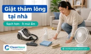 Hướng dẫn cách giặt thảm lông tại nhà bằng cách hút bụi, xử lý vết bẩn theo điểm, dùng ít nước, chải nhẹ theo chiều lông và làm khô hoàn toàn để hạn chế rụng lông, bết lông và mùi ẩm.