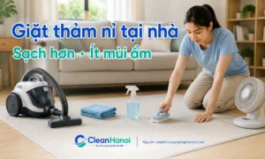 Hướng dẫn cách giặt thảm nỉ tại nhà bằng cách hút bụi, xử lý vết bẩn theo điểm, làm ẩm vừa đủ, thấm khô và hong thảm ở nơi thoáng để hạn chế mùi hôi ẩm.