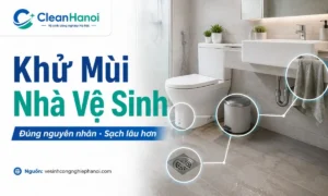 Cách khử mùi hôi nhà vệ sinh triệt để theo từng nguyên nhân