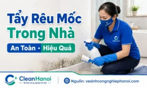 Hình ảnh minh họa cách tẩy rêu mốc trong nhà tại các vị trí như tường ẩm, chân tường, nhà tắm, sàn gạch, ban công, kính, inox và thiết bị vệ sinh.