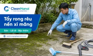 Hướng dẫn cách tẩy rong rêu trên nền xi măng, sân, lối đi, bậc thềm ngoài trời bằng cách quét rác, chà cơ học, xịt rửa, dùng nước tẩy rong rêu phù hợp và giữ nền khô thoáng.