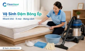 Cách vệ sinh đệm bông ép tại nhà đúng cách nhanh khô ít mùi