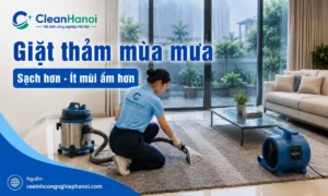 Hình ảnh minh họa việc giặt thảm vào mùa mưa đúng cách, ưu tiên hút nước bẩn, làm khô nhanh và hạn chế mùi hôi ẩm trong nhà hoặc văn phòng.