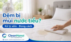 Đệm bị mùi nước tiểu, vết ố vàng hoặc cảm giác ẩm khó chịu cần được xử lý sớm để hạn chế mùi khai thấm sâu vào lớp vải, bông, mút hoặc lõi đệm.