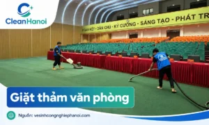 Dịch vụ giặt thảm văn phòng tại Hà Nội CleanHanoi