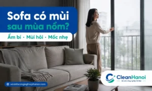 Ghế sofa có mùi hôi sau mùa nồm thường do độ ẩm cao, phòng kín, bụi bẩn, mồ hôi, lông thú cưng, thức ăn hoặc mốc nhẹ bám trong vải và khe ghế.