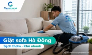 CleanHanoi nhận giặt ghế sofa Hà Đông cho nhà ở, căn hộ chung cư, văn phòng, showroom, cửa hàng và phòng khám; xử lý bụi, mùi ẩm, vết bẩn, lông thú cưng và hỗ trợ làm khô nhanh.