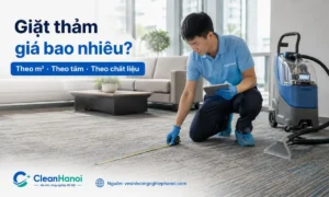 Bảng giá giặt thảm tham khảo theo m², theo tấm, theo chất liệu thảm, diện tích, mức độ bẩn, mùi hôi và tình trạng vết bẩn thực tế trước khi thi công.