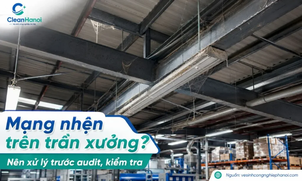 Mạng nhện, bụi treo trên trần, xà gồ, khung kèo, máng đèn và góc tường cao có thể rơi xuống hàng hóa, máy móc hoặc khu vực sản xuất.
