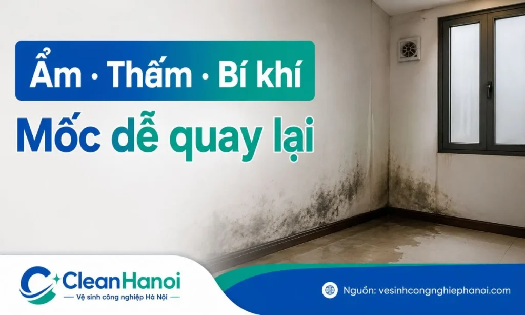 Nguyên nhân nhà bị rêu mốc do ẩm, thấm nước và thiếu thông gió
