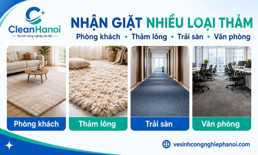 các nhóm thảm CleanHanoi nhận vệ sinh tại Gia Lâm, gồm thảm phòng khách, thảm lông, thảm trải sàn và thảm văn phòng.