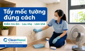 Hướng dẫn cách tẩy mốc tường, trần nhà, góc phòng, chân tường và khu vực sau tủ bị ẩm mốc bằng cách kiểm tra nguyên nhân ẩm, lau nhẹ, làm khô và giữ phòng thông thoáng.