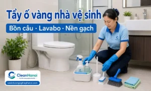 Hướng dẫn cách tẩy ố vàng nhà vệ sinh tại các khu vực thường bẩn như bồn cầu, lavabo, nền gạch, chân tường, góc tường và mảng bám lâu ngày bằng dụng cụ phù hợp, hạn chế làm xước bề mặt.
