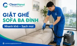 Nhân viên CleanHanoi kiểm tra chất liệu và vệ sinh sofa phòng khách tại nhà bằng thiết bị phù hợp với bề mặt ghế.