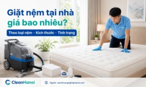 Bảng giá giặt nệm tại nhà tham khảo theo loại nệm, kích thước, độ dày và tình trạng vết bẩn như mùi hôi, ố vàng, nước tiểu hoặc ẩm mốc.