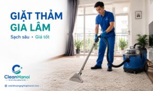 nhân viên CleanHanoi làm sạch thảm phòng khách bằng thiết bị chuyên dụng, phù hợp dịch vụ giặt thảm tại khu vực Gia Lâm.