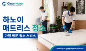하노이의 아파트, 단독주택과 빌라에서 매트리스의 먼지와 생활 오염을 청소하는 CleanHanoi의 방문 서비스입니다.