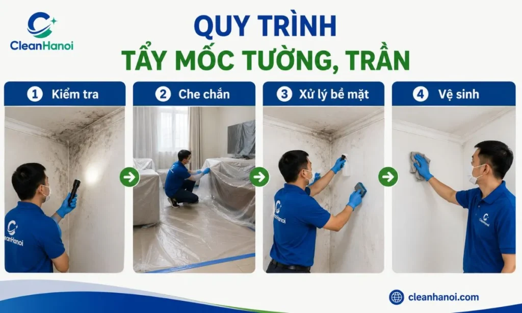 Quy trình kiểm tra, che chắn, xử lý bề mặt và vệ sinh khu vực bị mốc