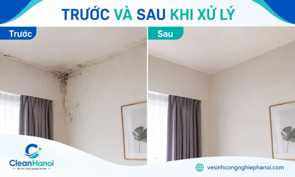 So sánh cùng một khu vực tường trước và sau khi được xử lý mốc bề mặt