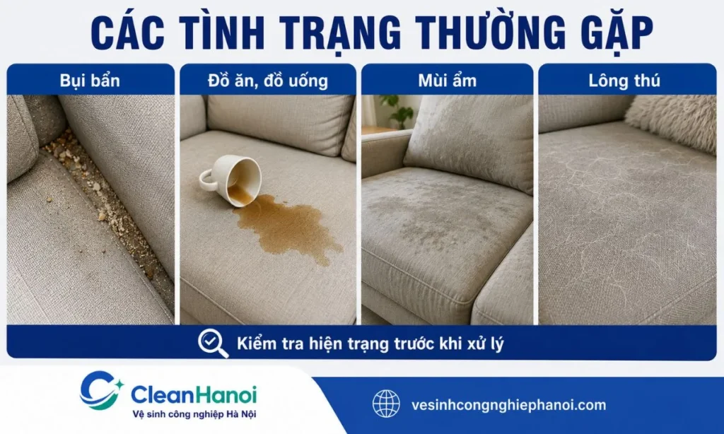 Các tình trạng bụi, đồ uống, mùi ẩm và lông thú trên ghế sofa