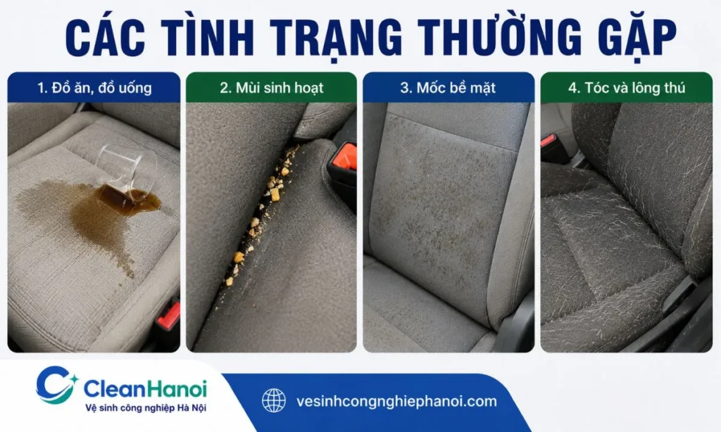 Các tình trạng vết bẩn, mùi, mốc và lông thú trên ghế ô tô