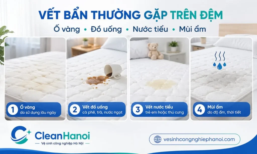 những tình trạng thường gặp trên đệm gồm vết ố vàng, đồ uống, nước tiểu và mùi ẩm cần được kiểm tra trước khi xử lý.