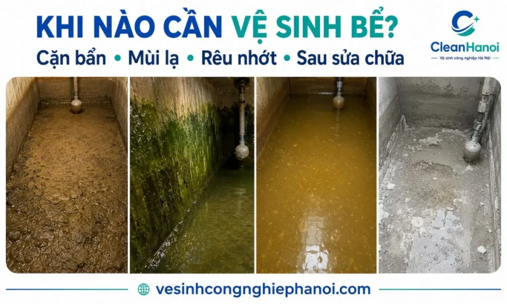 Dấu hiệu bể nước có bùn cặn rêu nhớt và mùi lạ