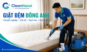 Nhân viên CleanHanoi vệ sinh đệm tại nhà cho khách hàng ở khu vực Đông Anh