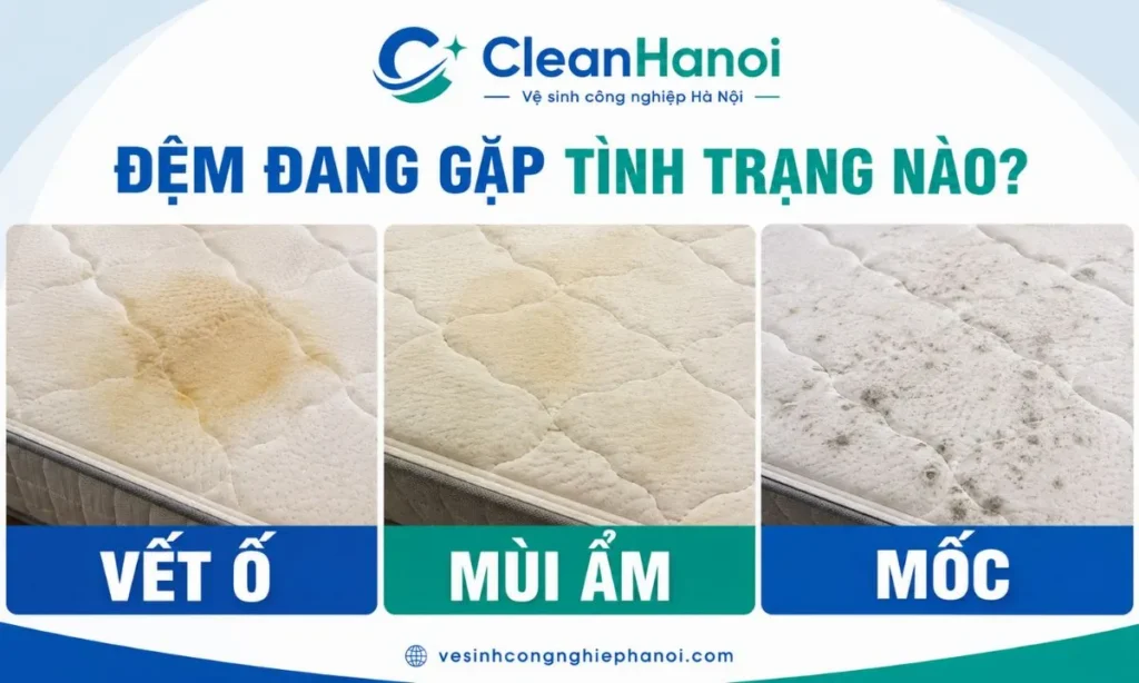 Vết ố, dấu hiệu ẩm và mốc trên bề mặt đệm trước khi vệ sinh